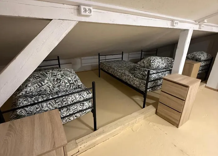 Pulse Auberge de jeunesse